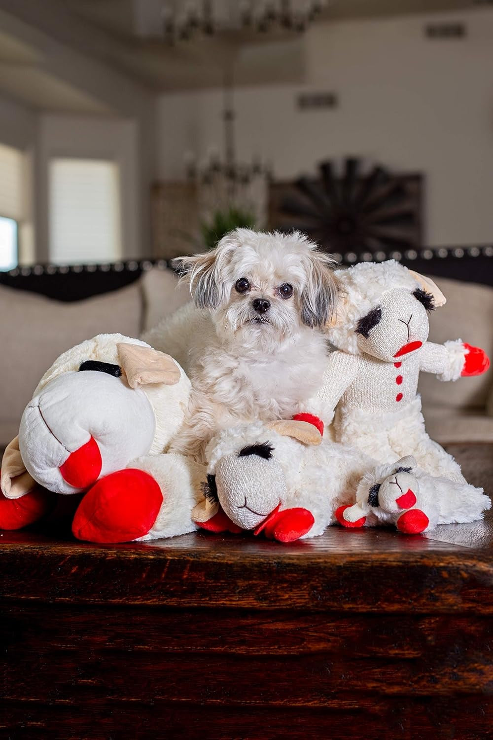 Plush Toy Lambchop Dog Toy for Small Dog Breeds Z910537