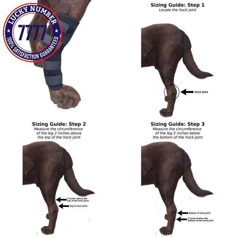 Dog Rear Leg Hock Joint Compression Wrap I602