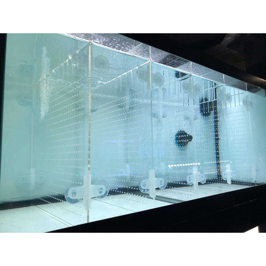 Acrylic Aquarium Divider Kit with Suction Cups N579