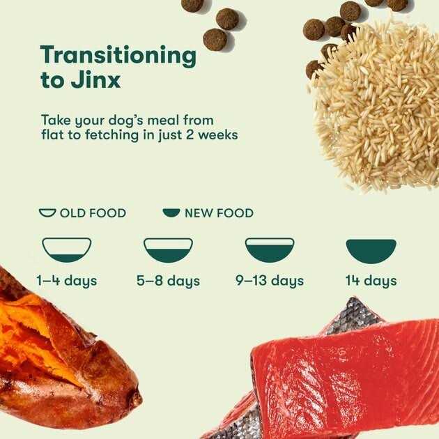 Salmon Brown Rice & Sweet Potato Dry Dog Food A534421