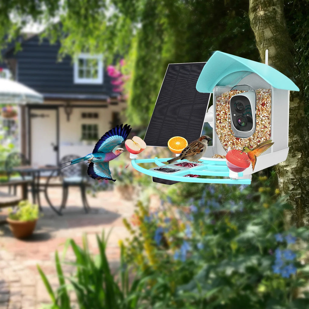 1080P Solar Powered Smart Bird Feeder with Camera D637
