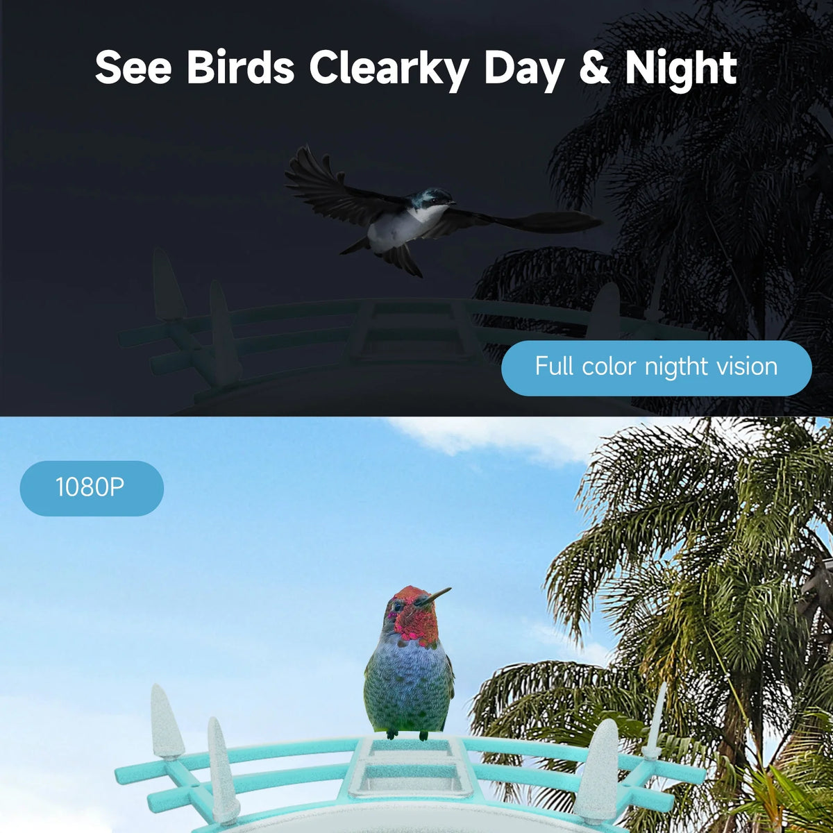 1080P Solar Powered Smart Bird Feeder with Camera D637