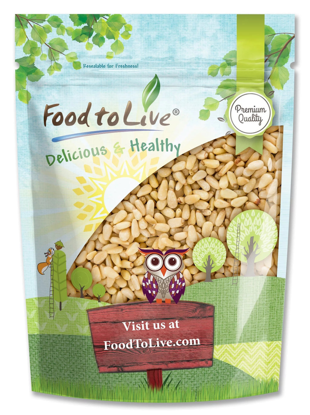 Pine Nuts, 1 Pound E9596