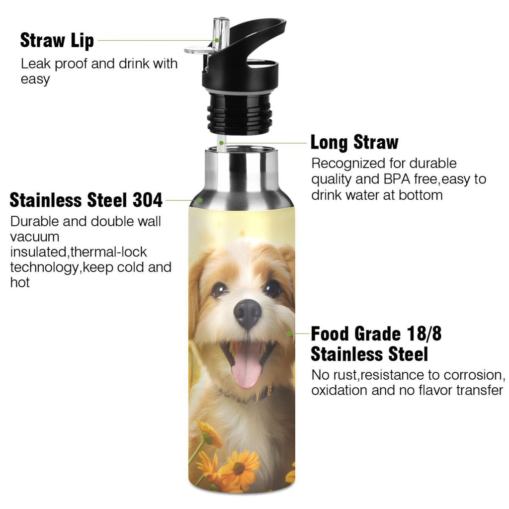 20 oz Insulated Stainless Steel Water Bottle with Straw Lid C684