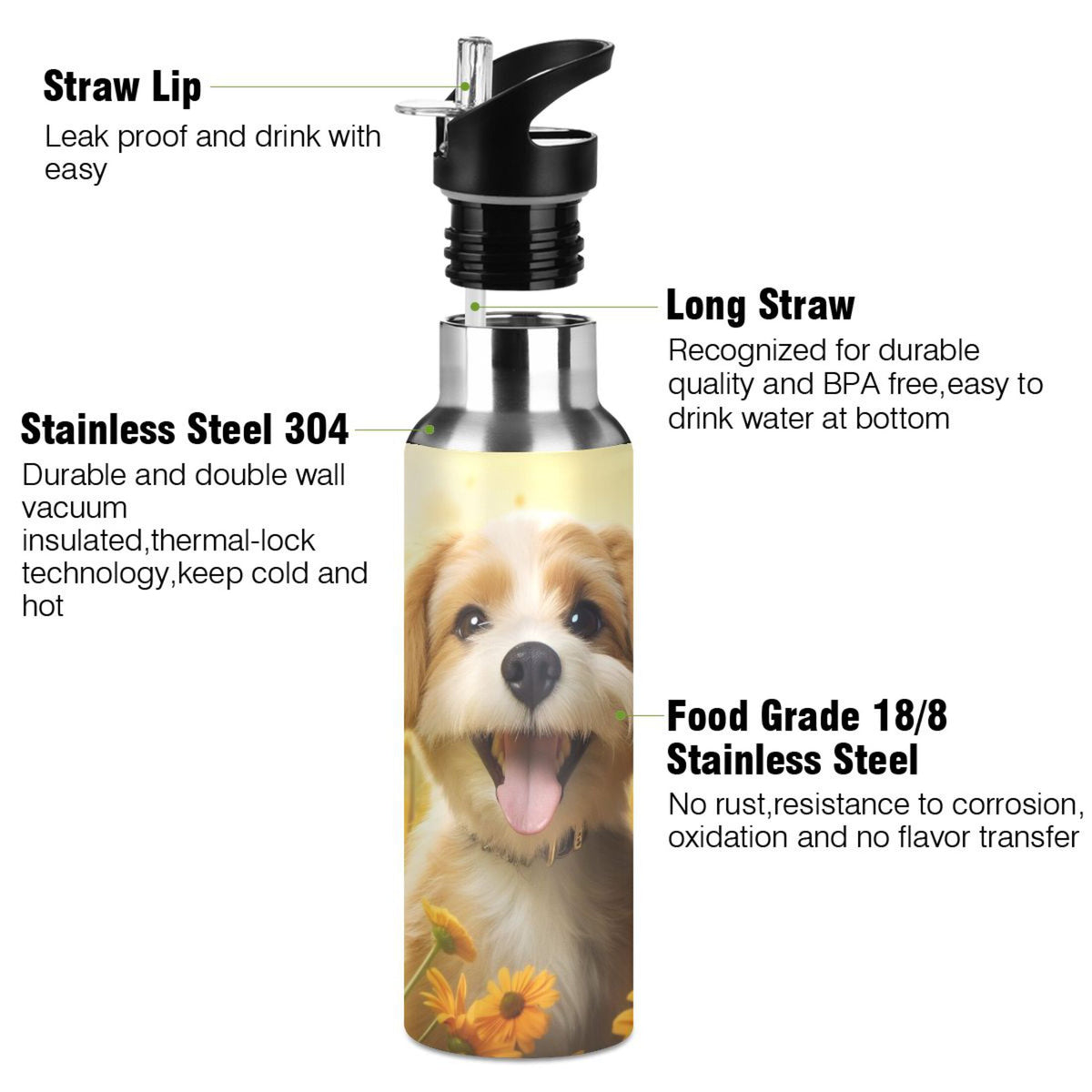 20 oz Insulated Stainless Steel Water Bottle with Straw Lid C684