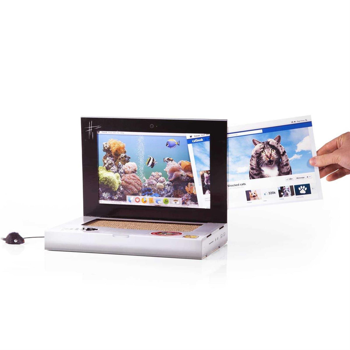 Cat Scratch Laptop Z931538