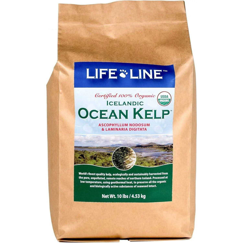 Ocean Kelp Dog & Cat Supplement L2991