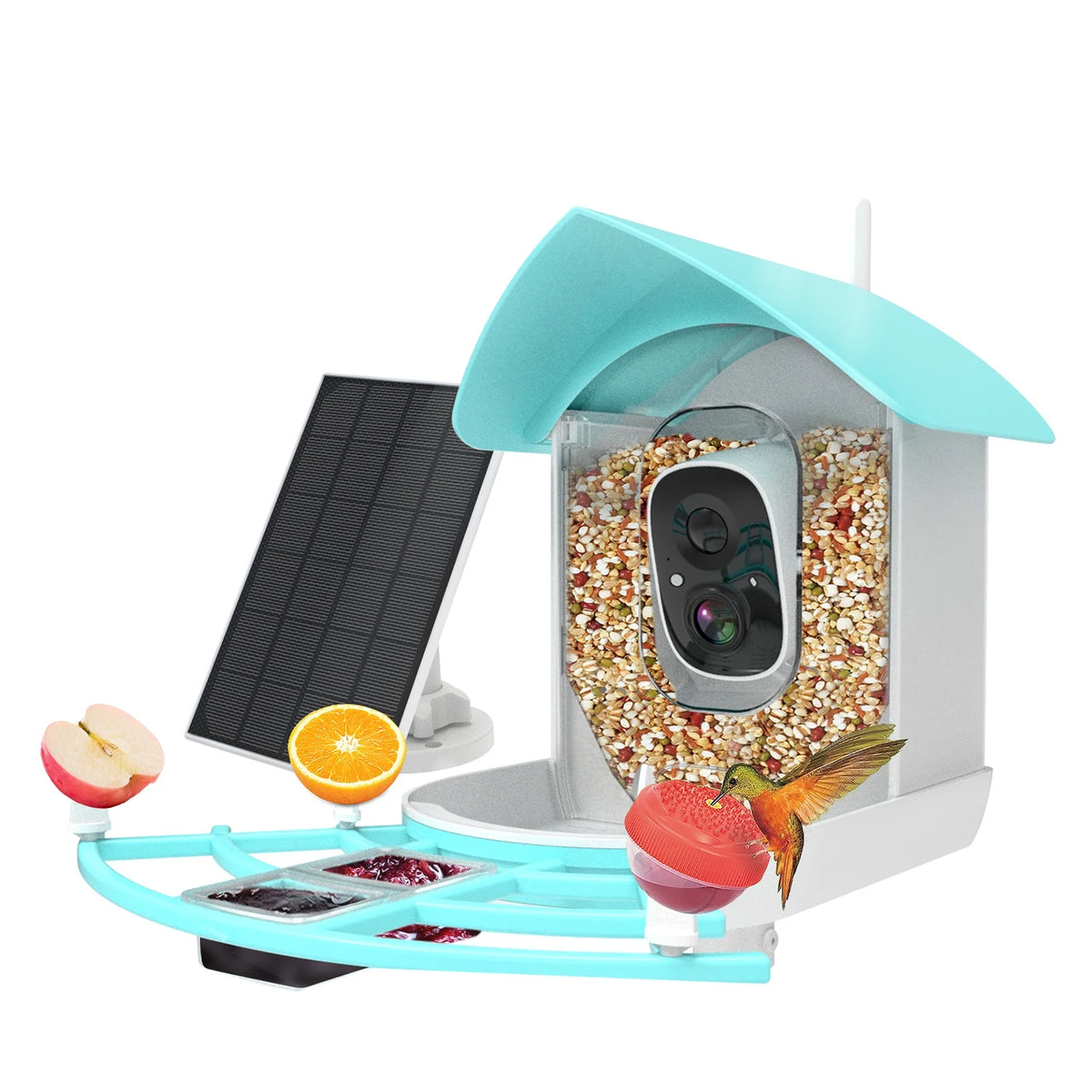 1080P Solar Powered Smart Bird Feeder with Camera D637