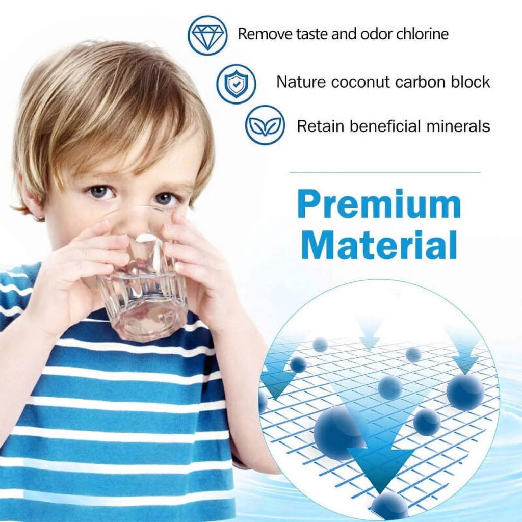Refrigerator Water Filter T256959