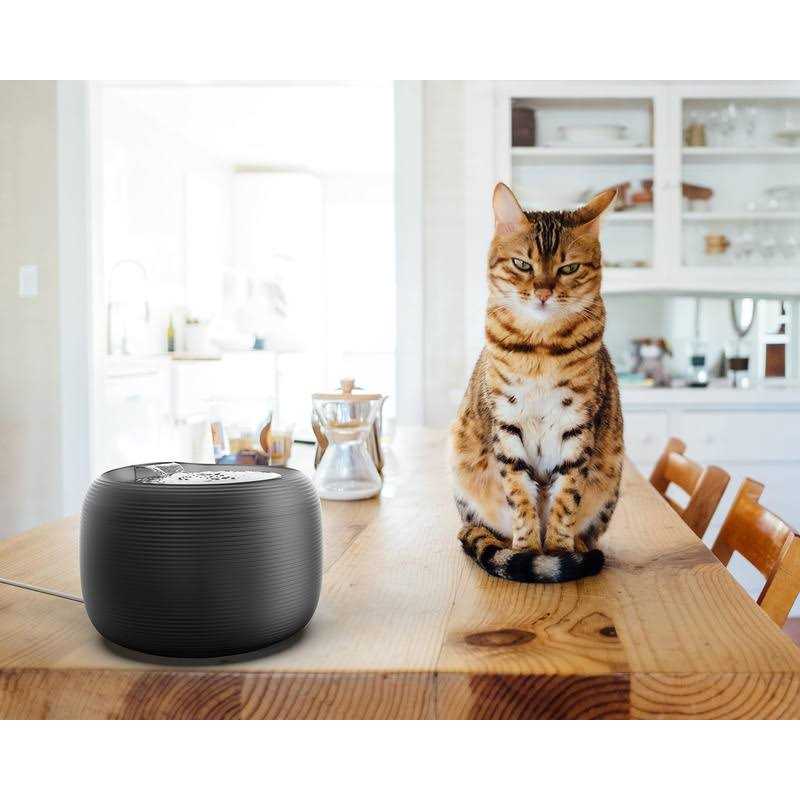 2.5 L Pet Water Fountain J36117