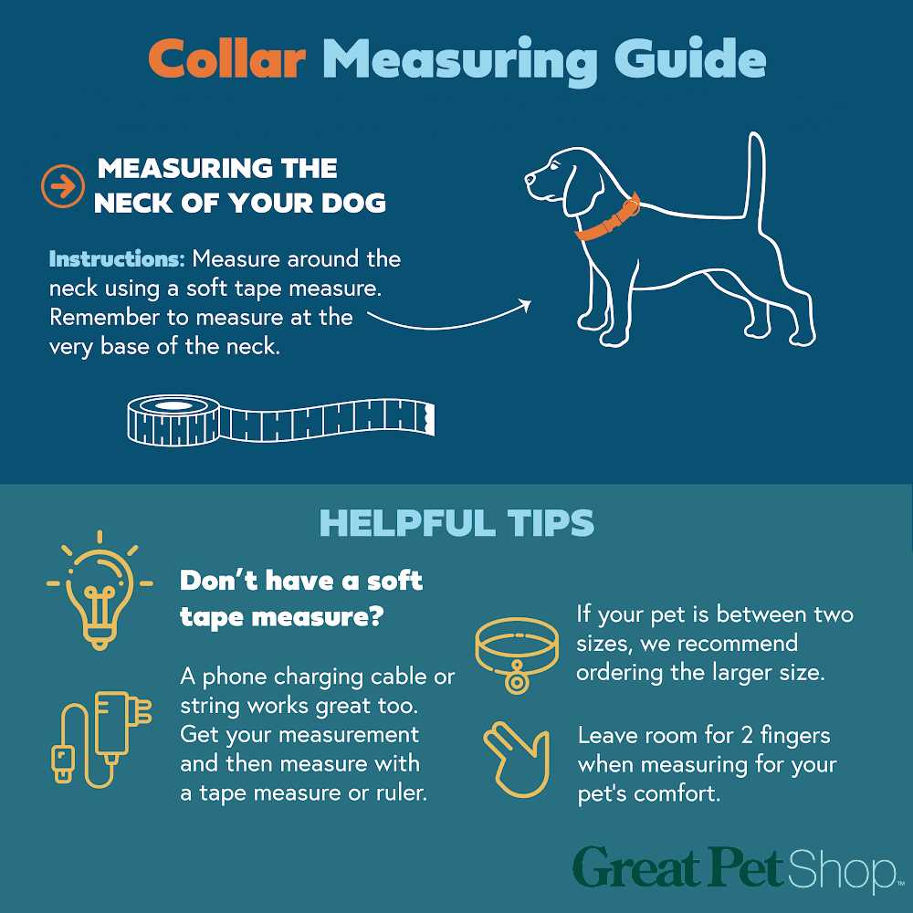 Dog Collar V445