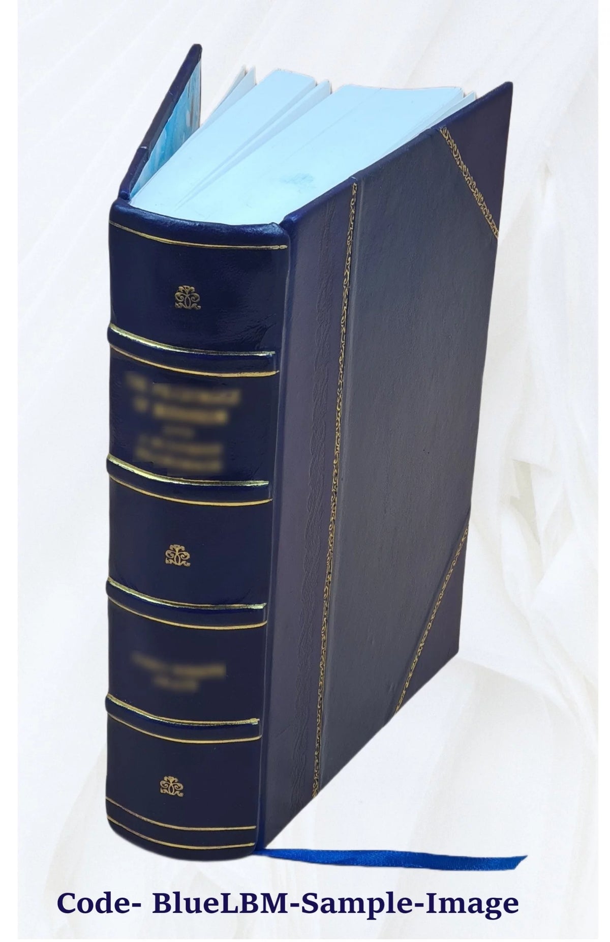 Leather Bound Book V387982