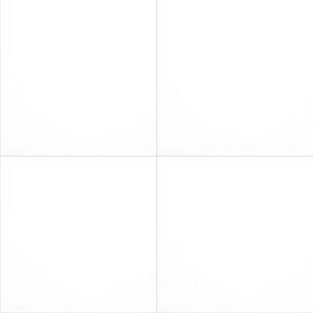 White 24 in. x 24 in. Polished Porcelain Floor and Wall Tile F298