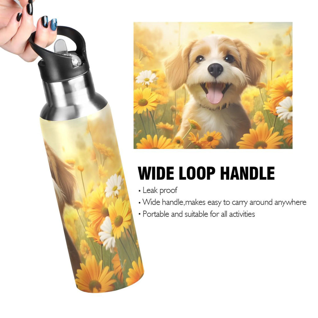 20 oz Insulated Stainless Steel Water Bottle with Straw Lid C684