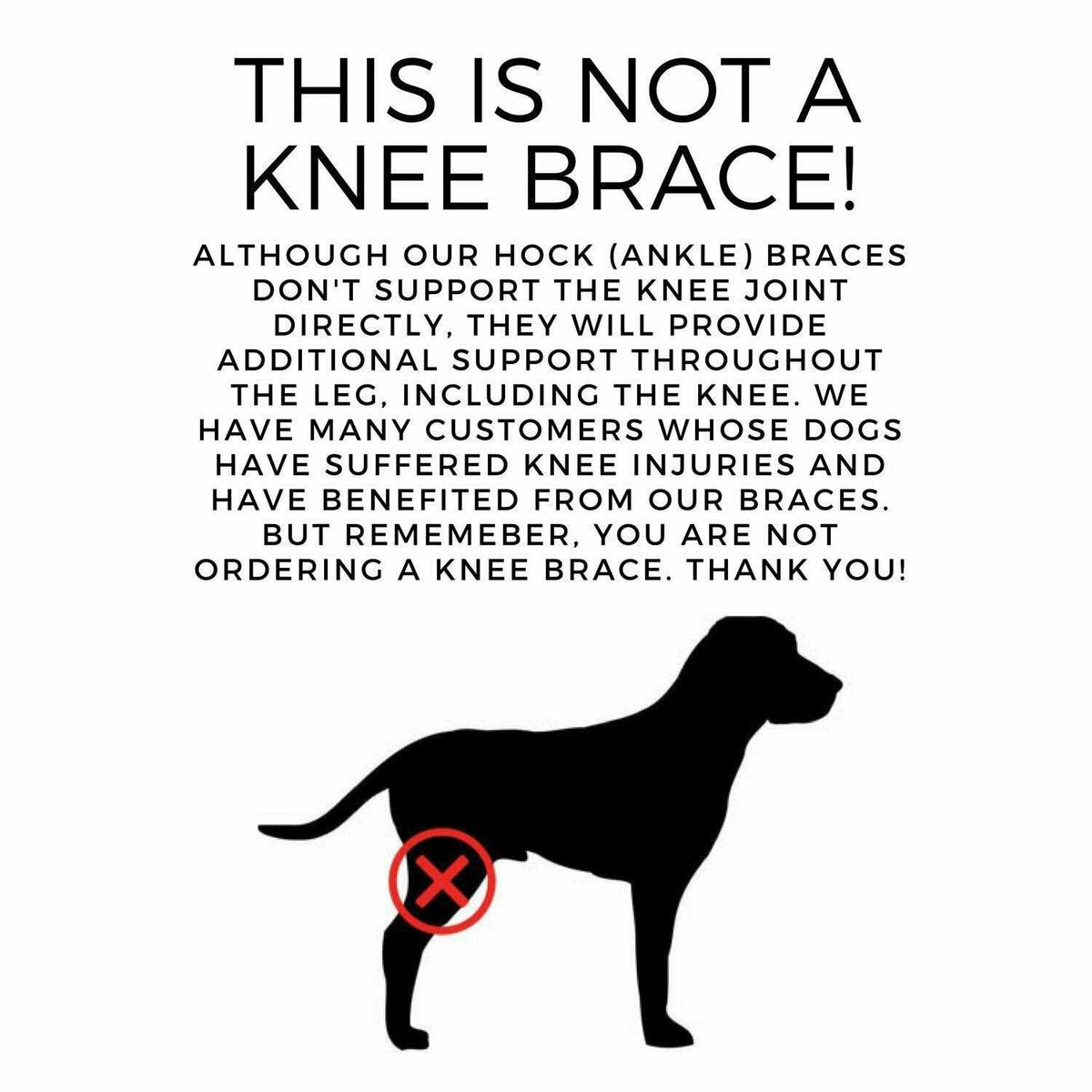 Dog Rear Leg Hock Joint Compression Wrap I602