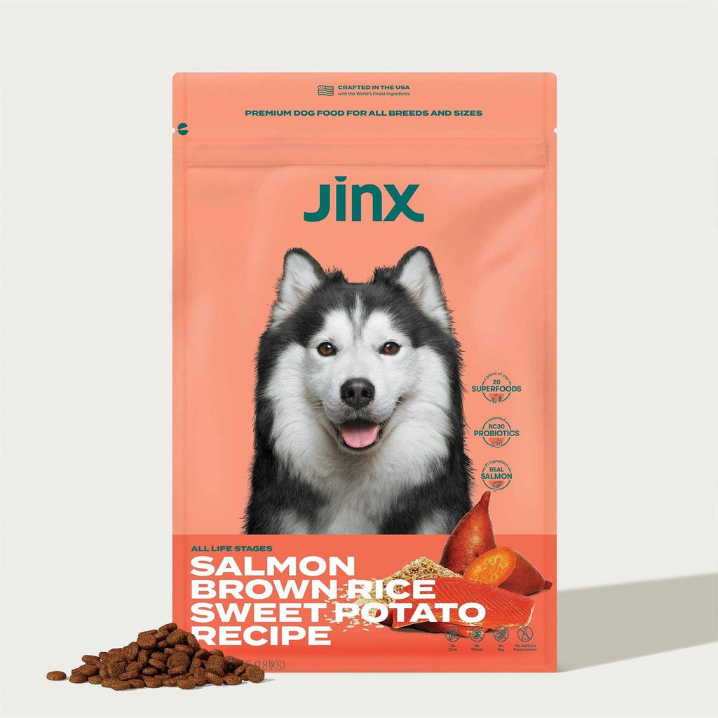 Salmon Brown Rice & Sweet Potato Dry Dog Food A534421