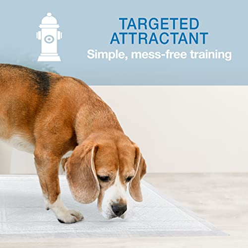 22" x 23" Unscented Quilted Potty Training Pads, 50 Count H3888