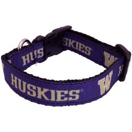 Dog Collar W38885