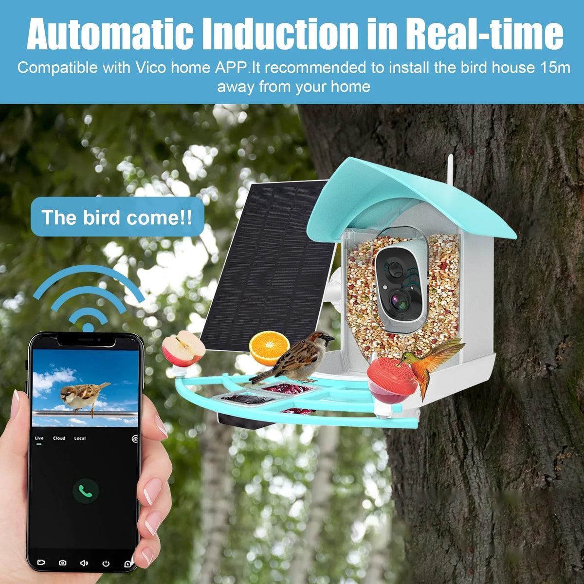 1080P Solar Powered Smart Bird Feeder with Camera D637