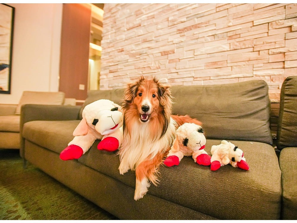 Plush Toy Lambchop Dog Toy for Small Dog Breeds Z910537