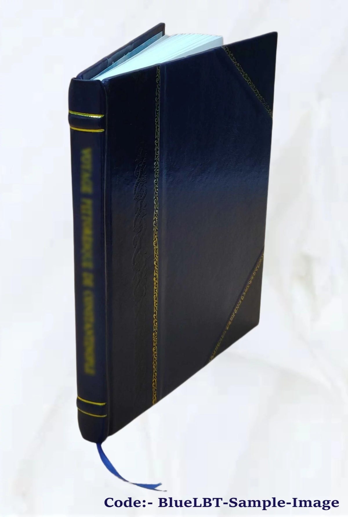Leather Bound Book L462