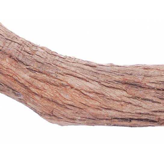 Hardwood Bird Perch G811058