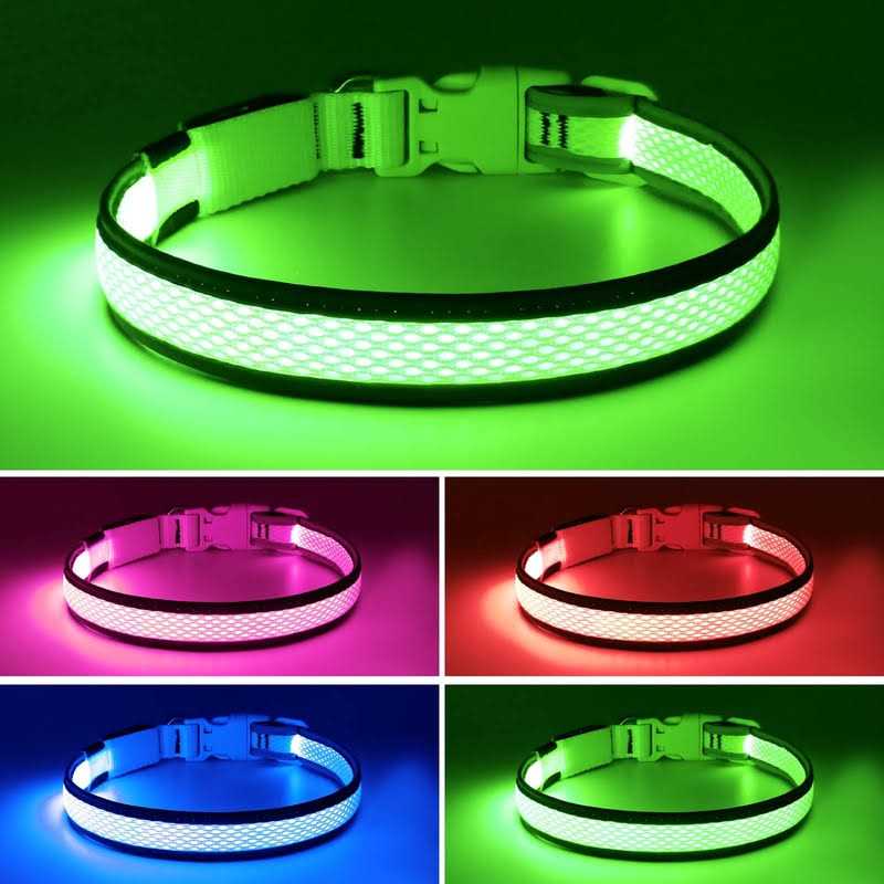 USB Rechargeable LED Dog Collar S892220