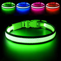 USB Rechargeable LED Dog Collar S892220