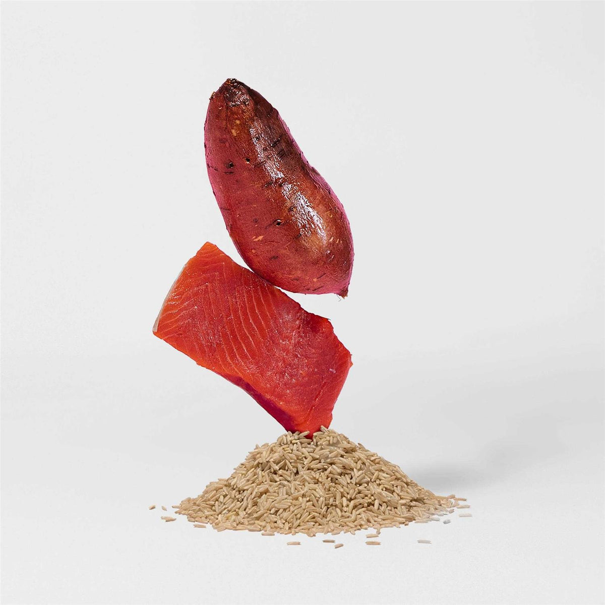 Salmon Brown Rice & Sweet Potato Dry Dog Food A534421