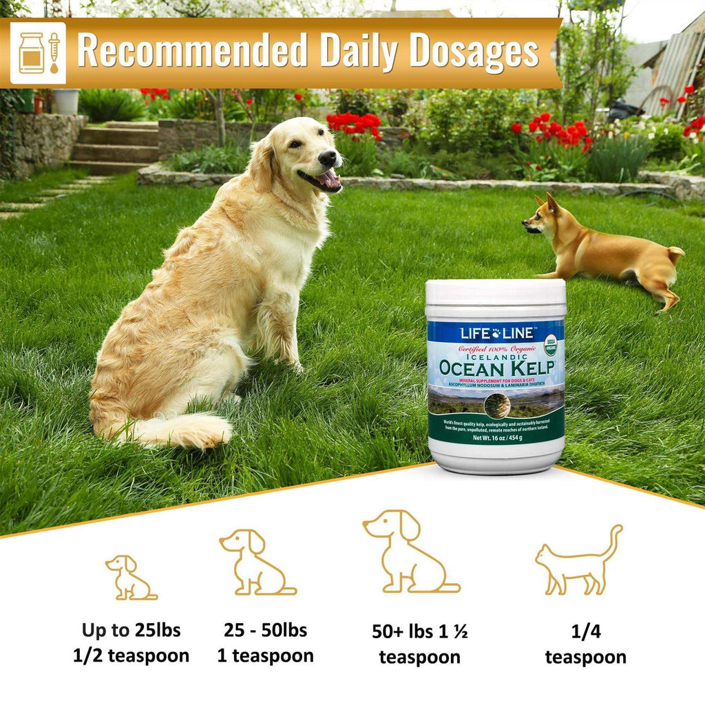 Ocean Kelp Dog & Cat Supplement L2991