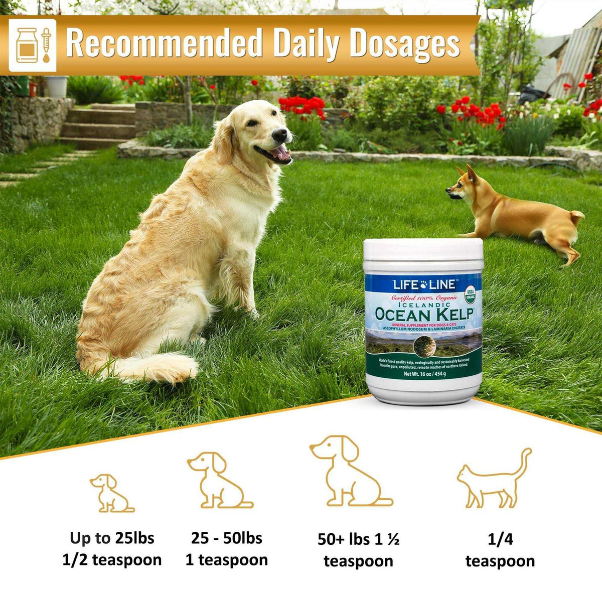 Ocean Kelp Dog & Cat Supplement L2991