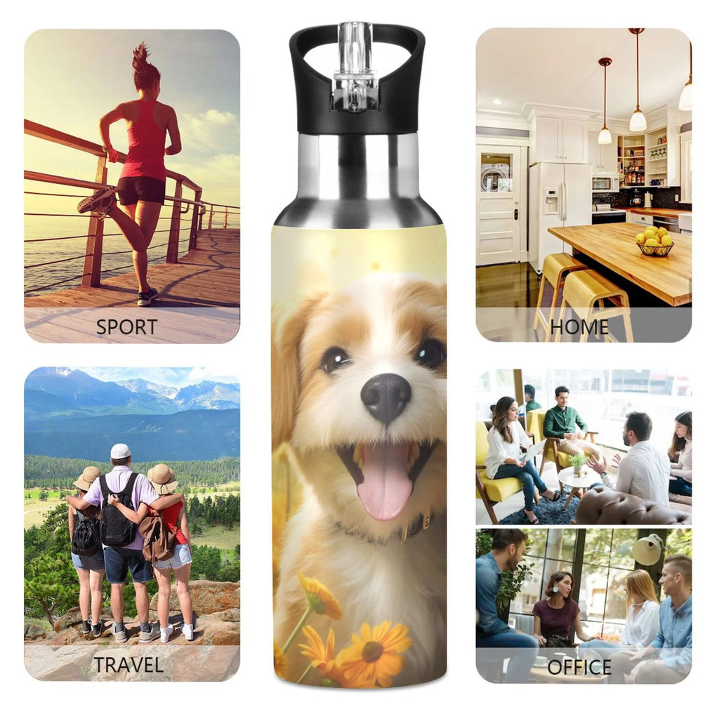20 oz Insulated Stainless Steel Water Bottle with Straw Lid C684