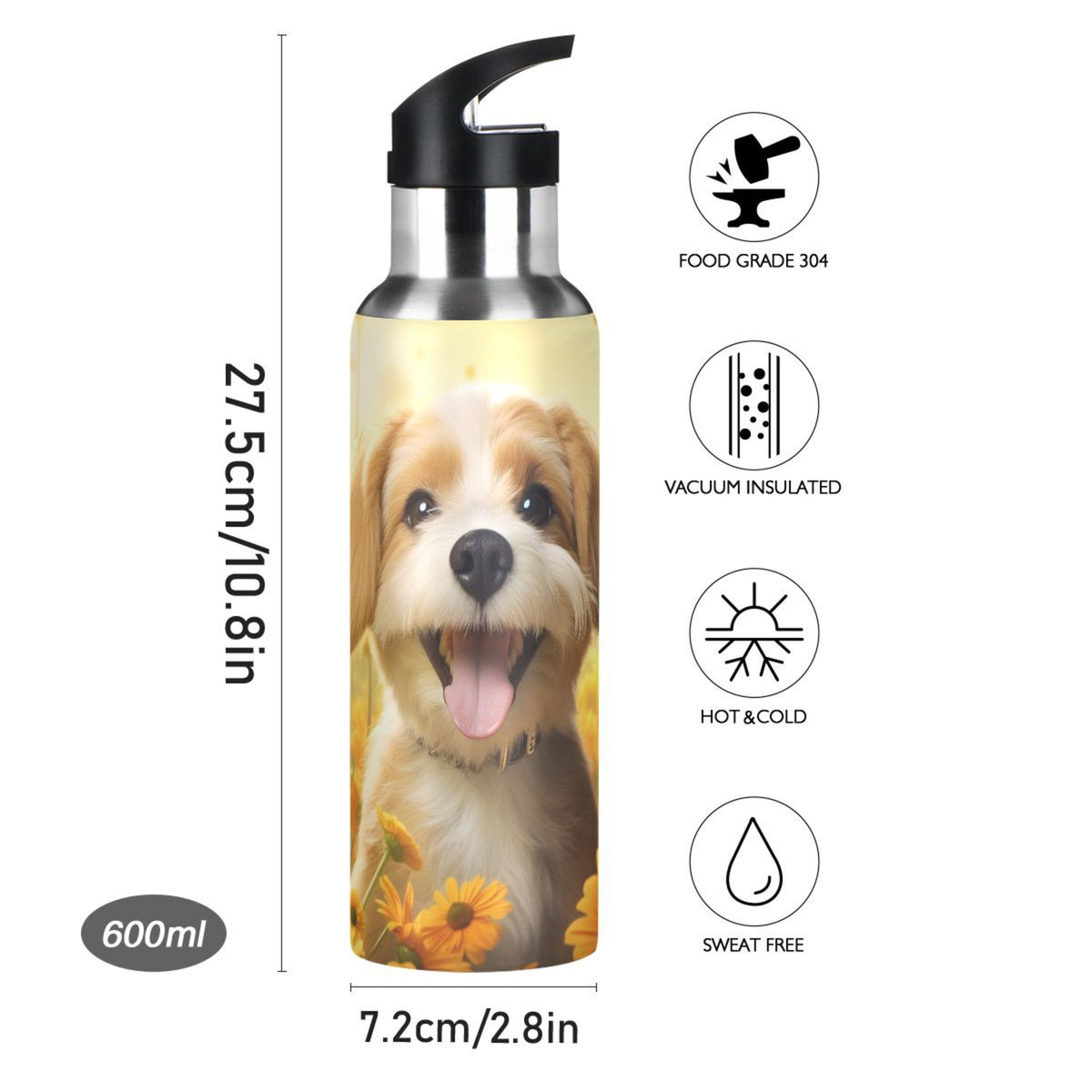 20 oz Insulated Stainless Steel Water Bottle with Straw Lid C684
