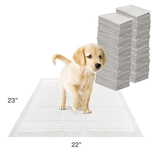 22" x 23" Unscented Quilted Potty Training Pads, 50 Count H3888