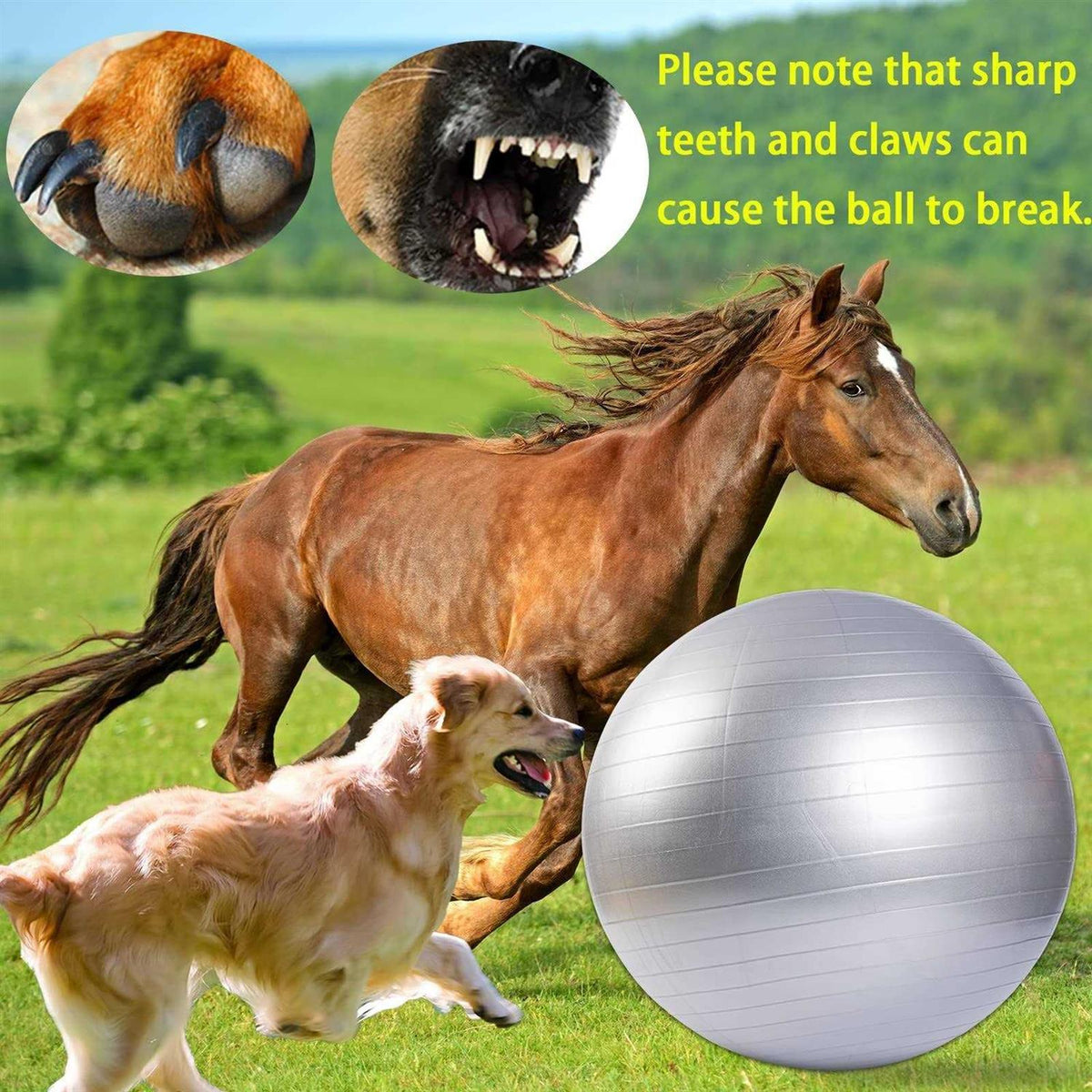 30 Inch Anti-Burst Horse Herding Ball with Pump W47309