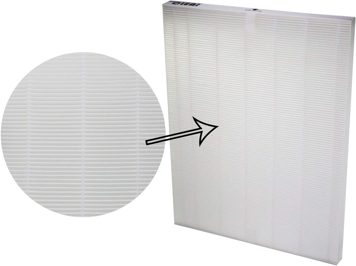 2 Pack HEPA Filters and 2 Pack Activated Carbon Filter Combo Pack X699