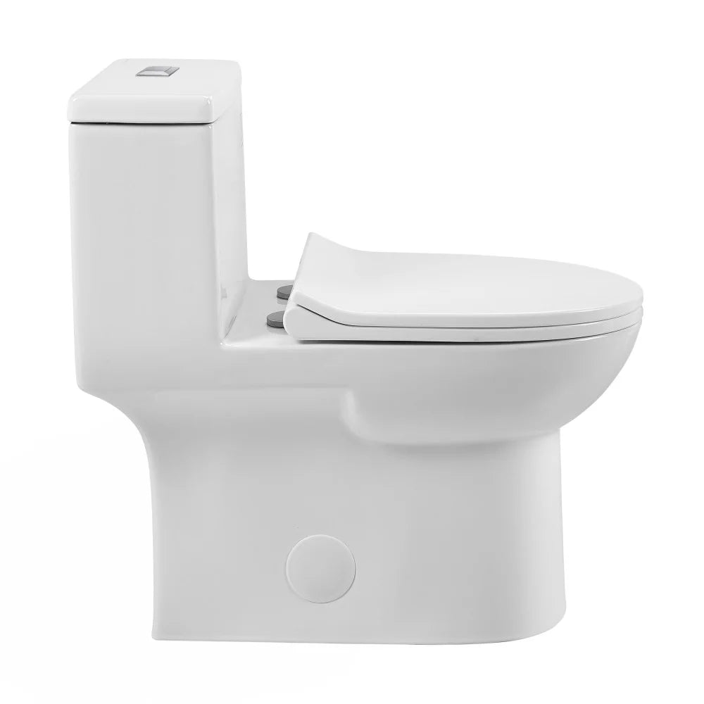 One-Piece Elongated Dual-Flush Toilet R867011