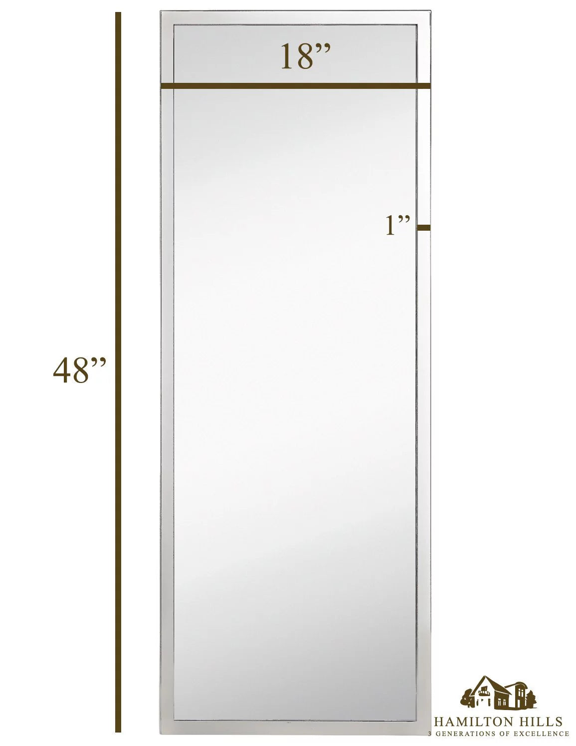 Polished Stainless Metal Silver Rectangle Full Length Wall Mirror (18" x 48") Z2778