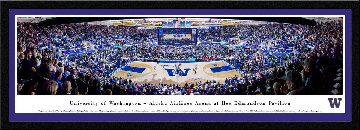 Washington Huskies Basketball Y6694