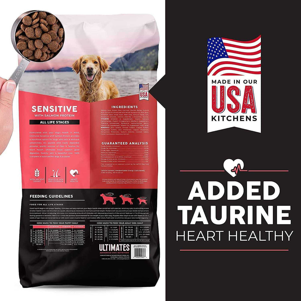 Salmon Protein Dry Dog Food Y372750