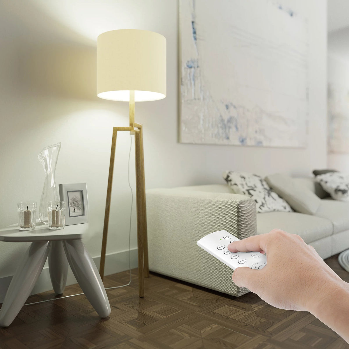 Wireless Remote Control Outlet Switch with Countdown Timer U89876