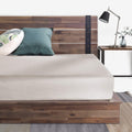 Queen Metal and Wood Platform Bed Frame M329446