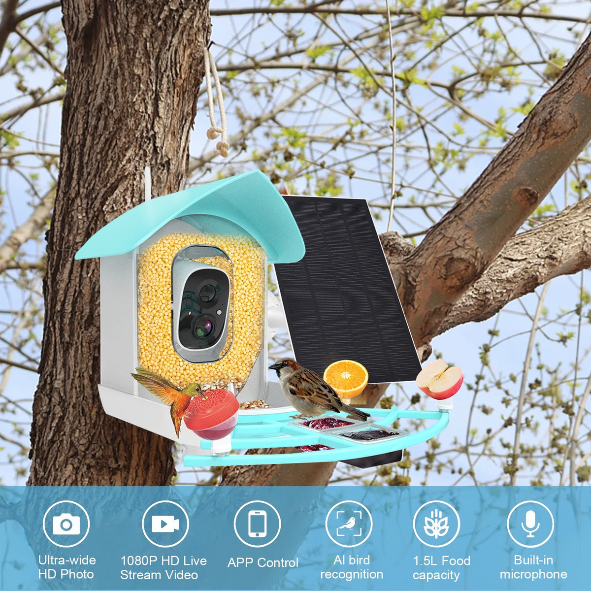 1080P Solar Powered Smart Bird Feeder with Camera D637