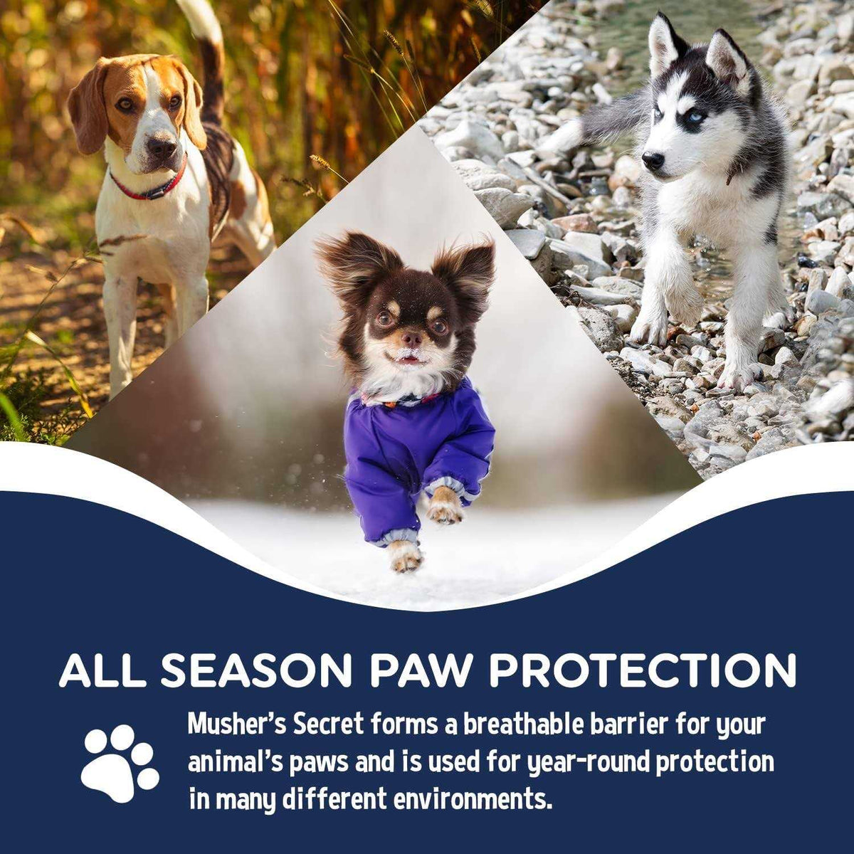 Pet Paw Protection Wax H982417