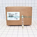 Halogen Bulb R972