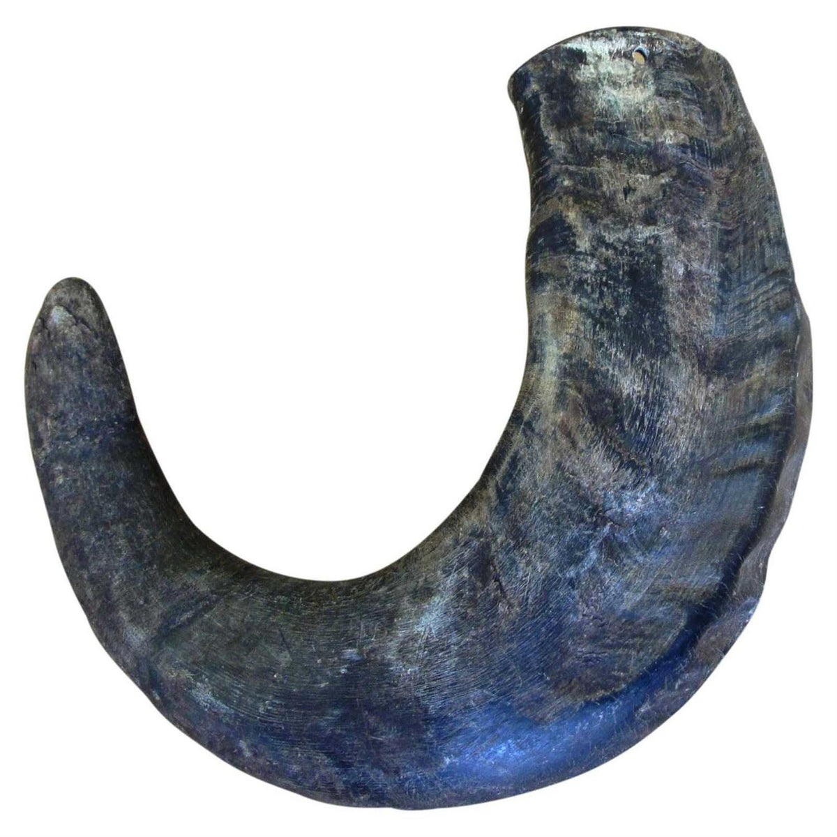 Dog Water Buffalo Horn Small Y1832