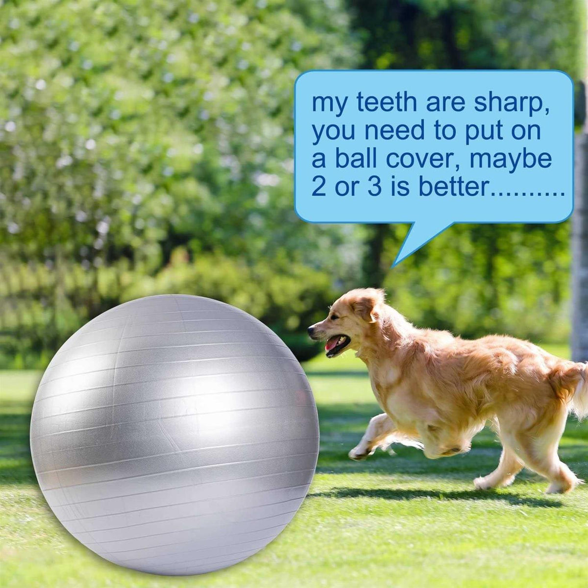 30 Inch Anti-Burst Horse Herding Ball with Pump W47309