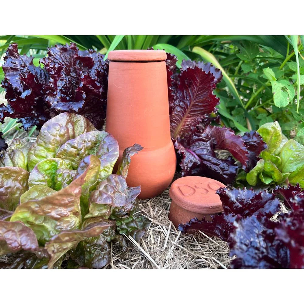 Terra Cotta Watering Pot, Medium, 1.5 Qt W956