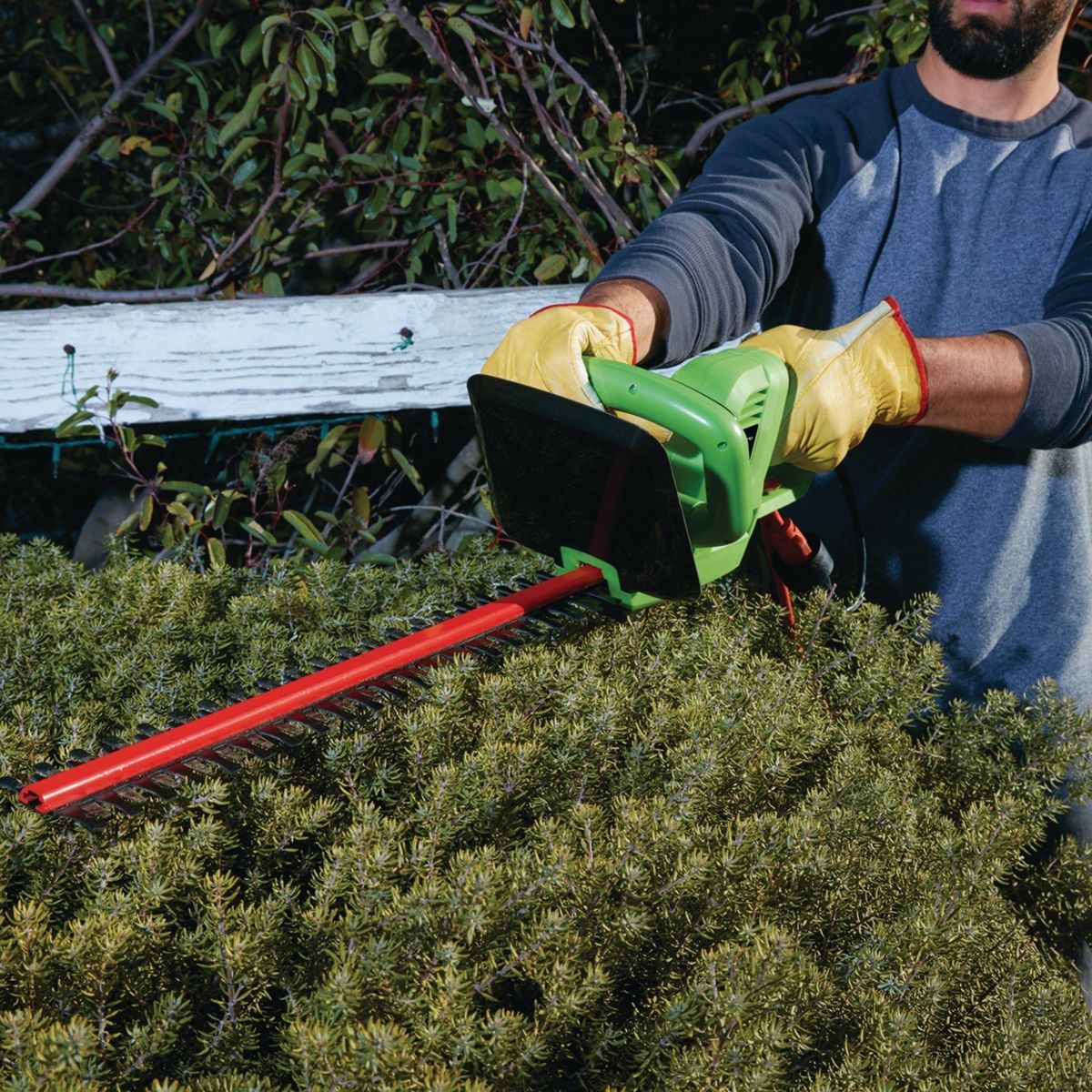 3.5 Amp 22 in. Electric Hedge Trimmer N603