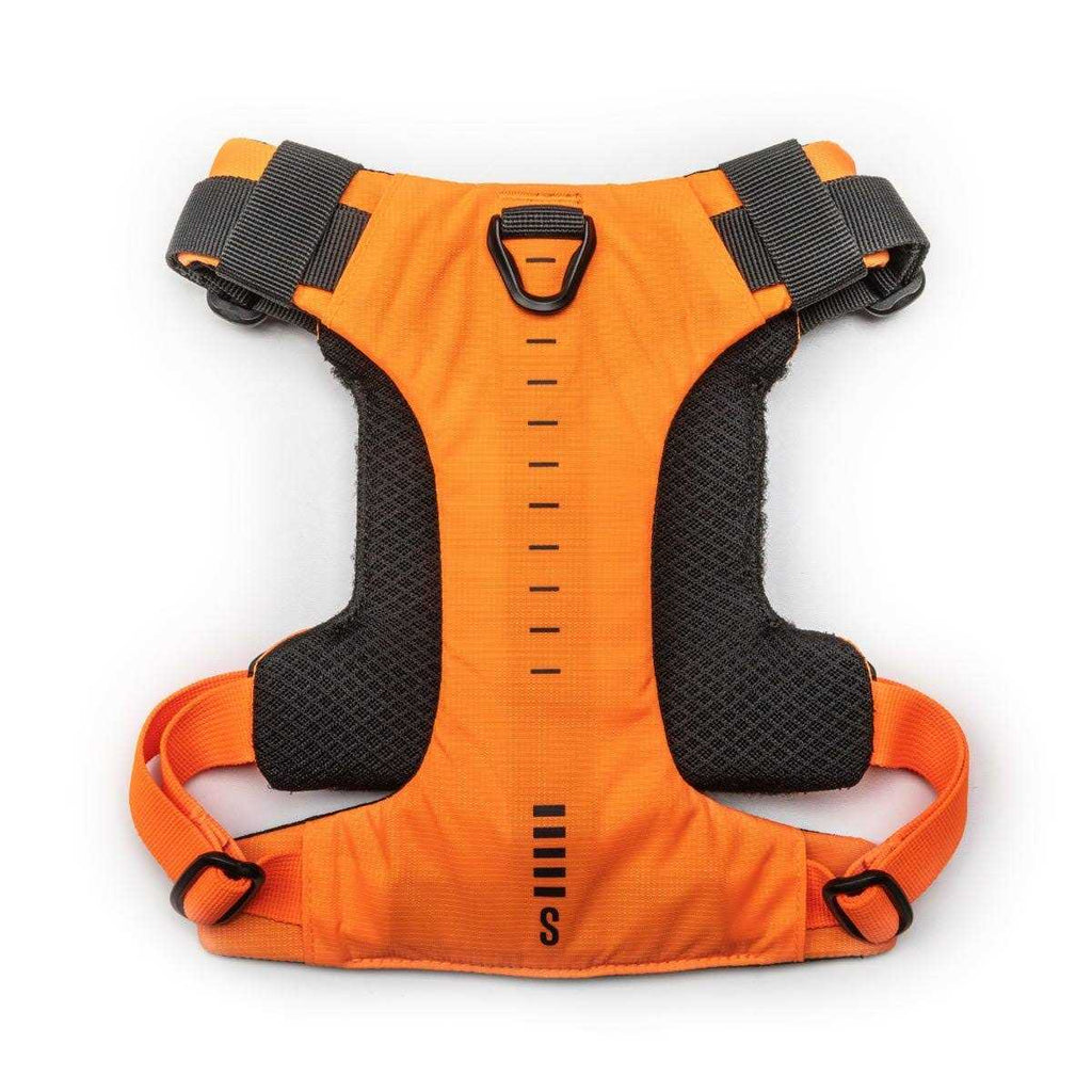 Dog Harness P204008